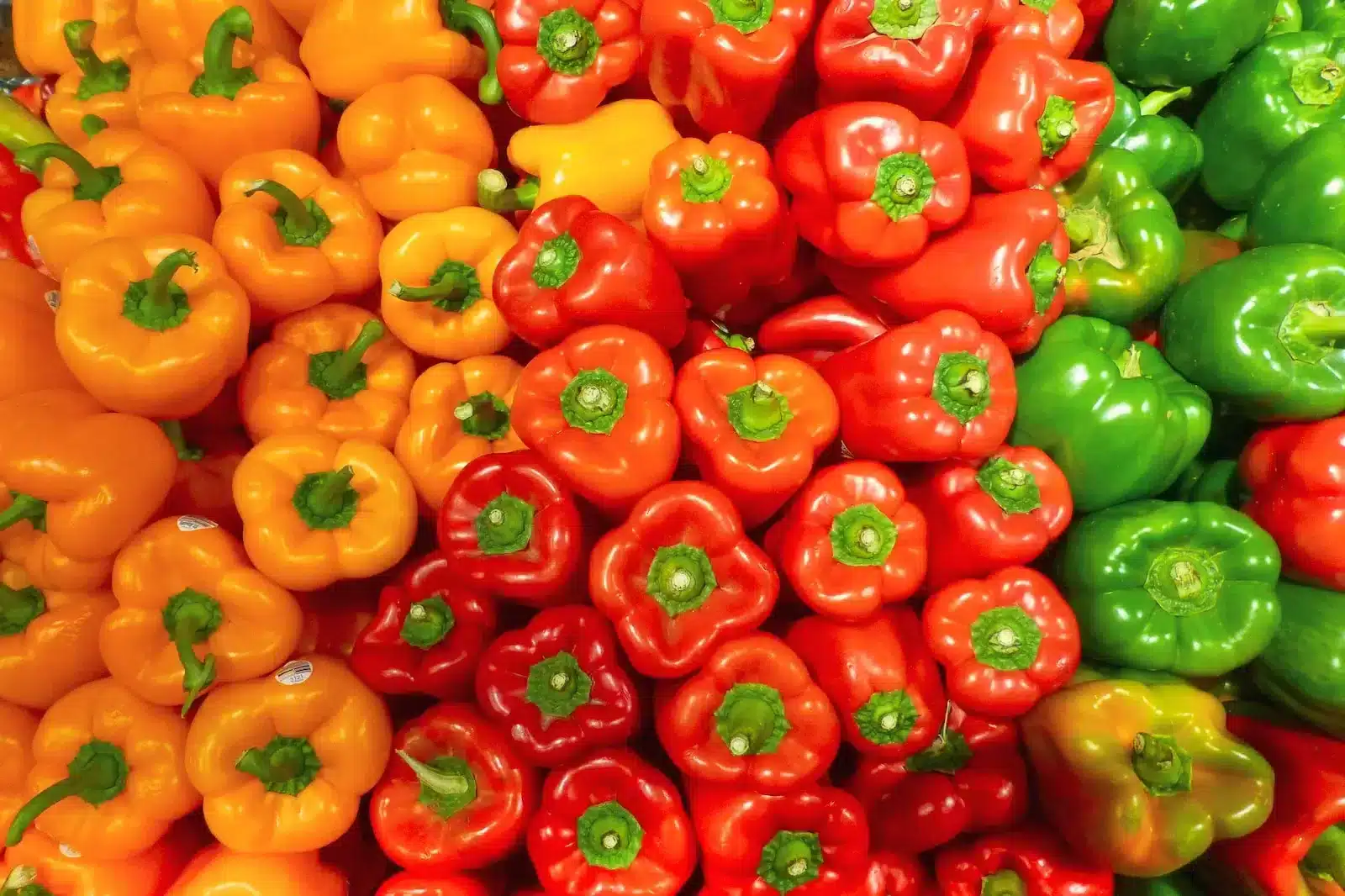 Do Bell Peppers Need To Be Refrigerated?