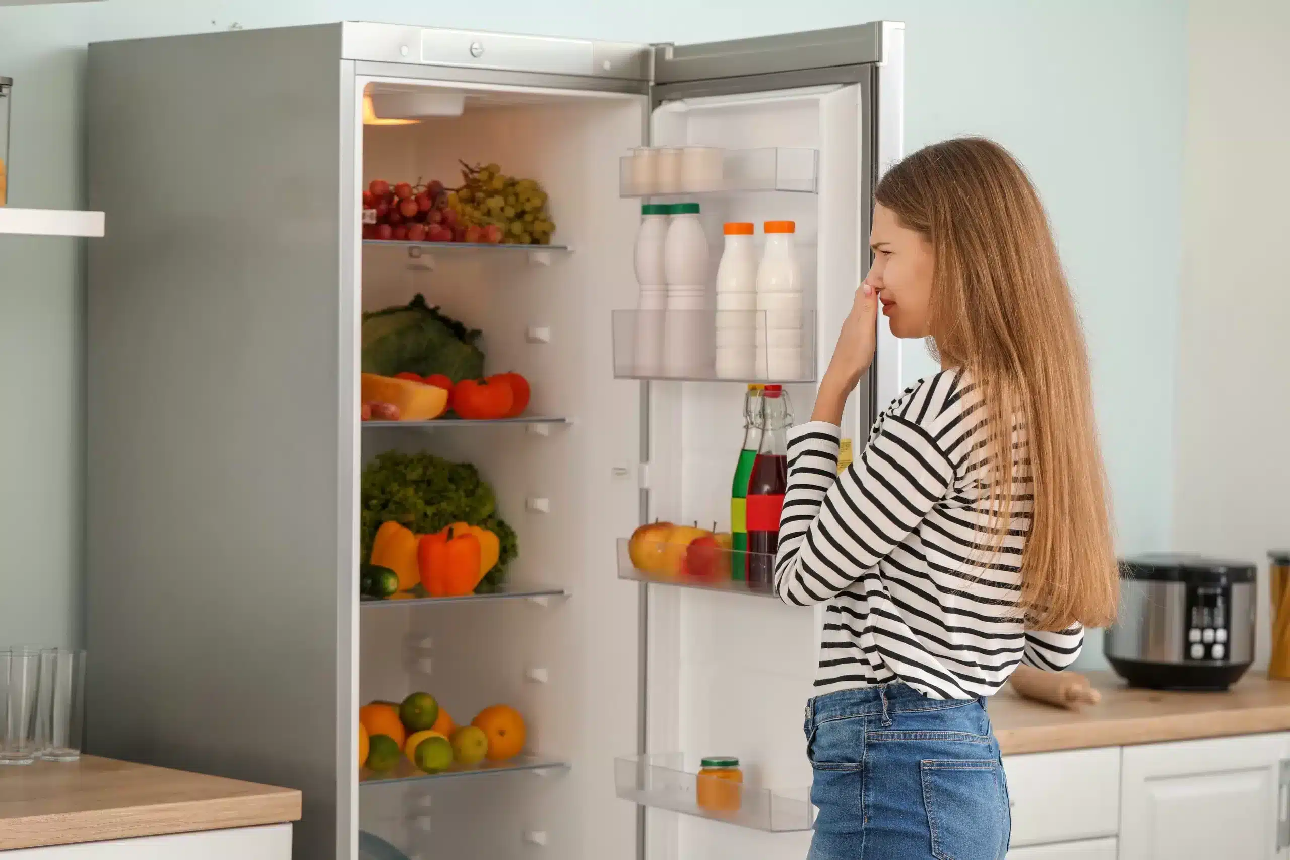 how-to-get-the-smell-out-of-a-refrigerator