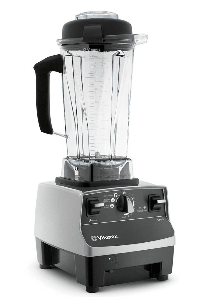 vitamix-pro-series-500-buyers-guide