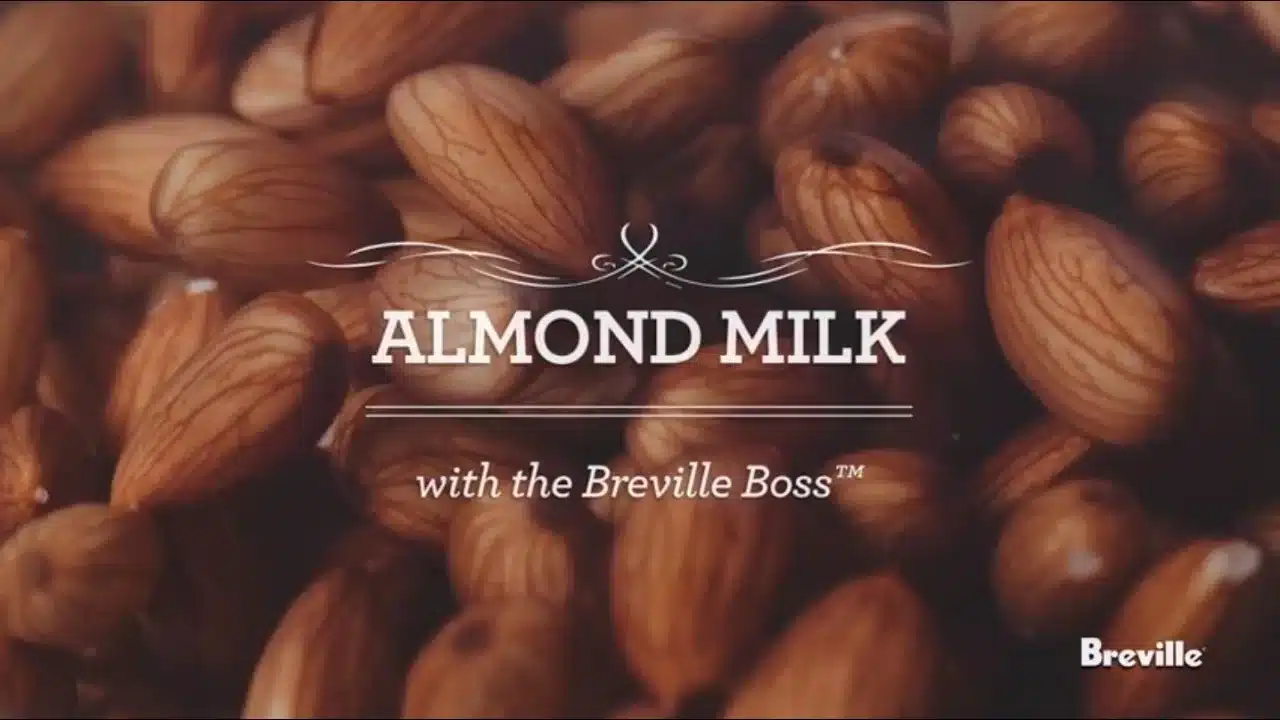 make-homemade-almond-milk-in-a-breville-big-squeeze